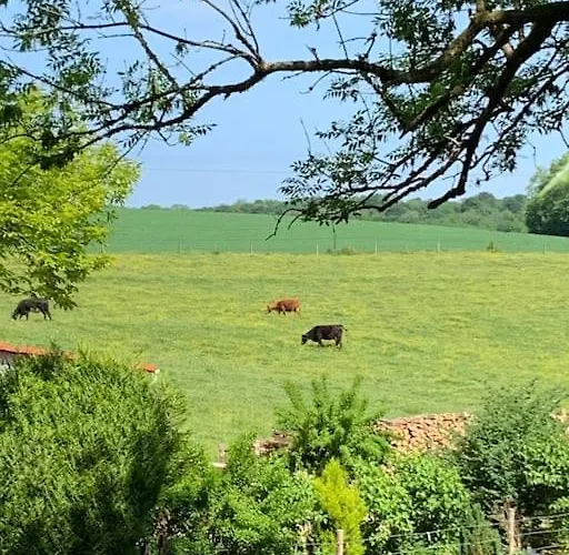 Tatil Evi Mac Arthur Bulson